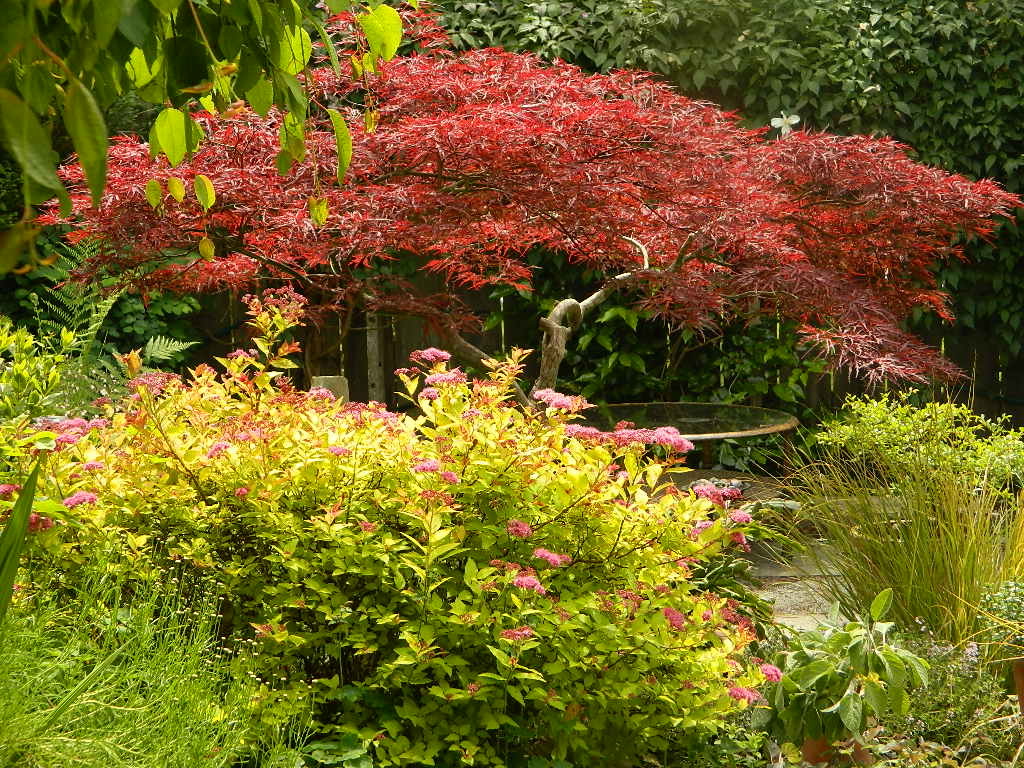 hamp03.jpg - 175067 Bytes